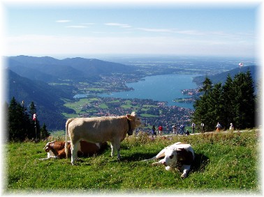 Die-Ferienwohnung-am-Tegernsee